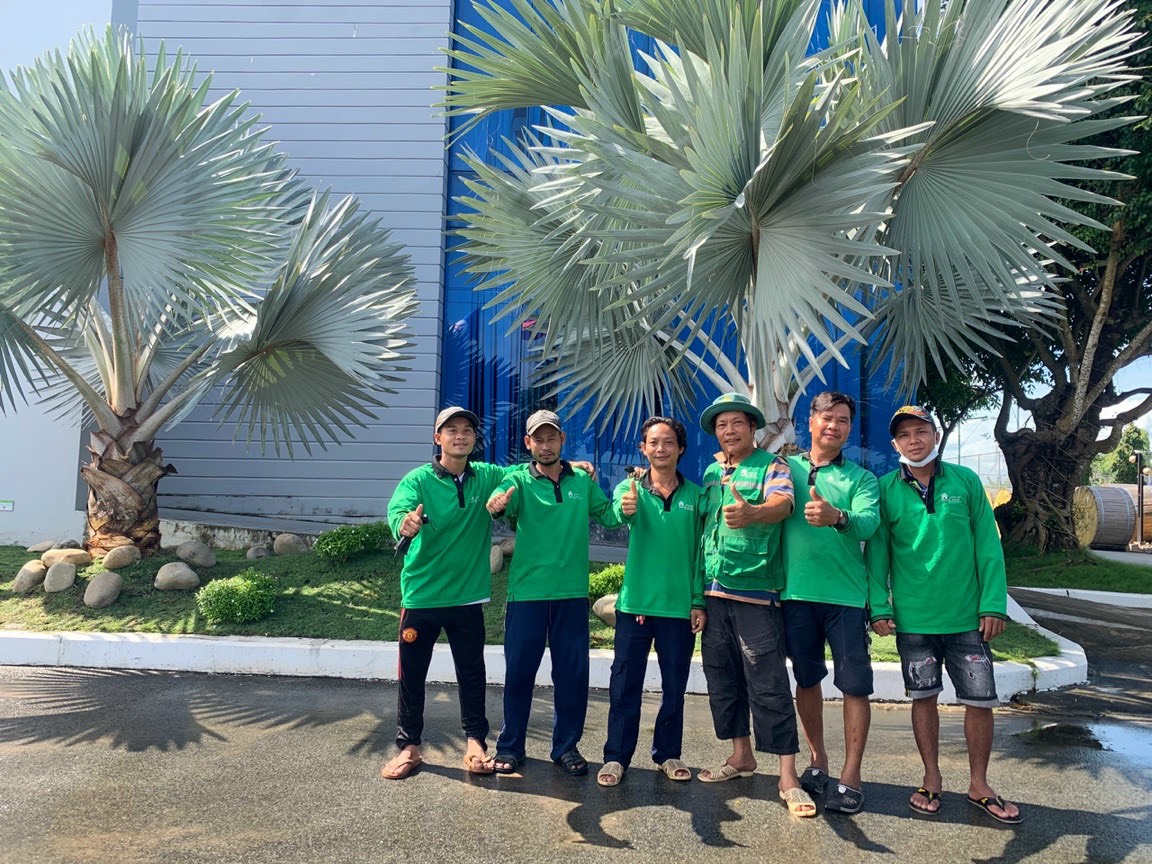 Cải tạo khuôn viên cây xanh điện lực Hậu Giang