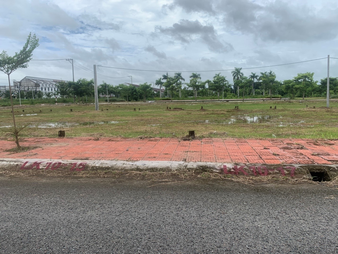 NHẬT MINH LANDSCAPE PHÁT HOANG VÀ DỌN VỆ SINH DỰ ÁN KHU DÂN CƯ MINH CHÂU