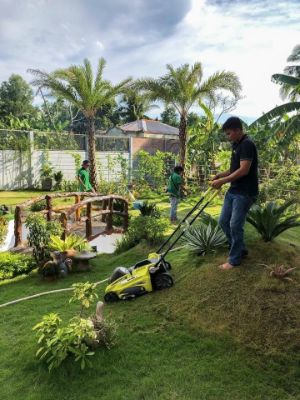 Dịch vụ chăm sóc - bảo dưỡng