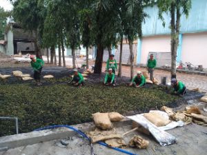 Phát hoang vệ sinh mặt bằng