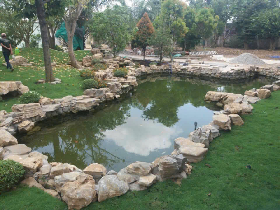 THIẾT KẾ THI CÔNG HỒ CÁ KOI CẦN THƠ