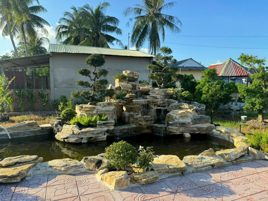 THIẾT KẾ THI CÔNG HỒ CÁ KOI CẦN THƠ