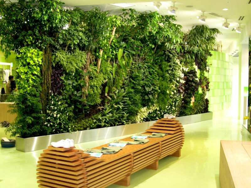 THIẾT KẾ THI CÔNG VƯỜN TƯỜNG ĐỨNG CẦN THƠ