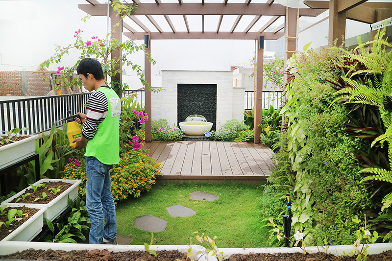 CHĂM SÓC CÂY CẢNH CẦN THƠ