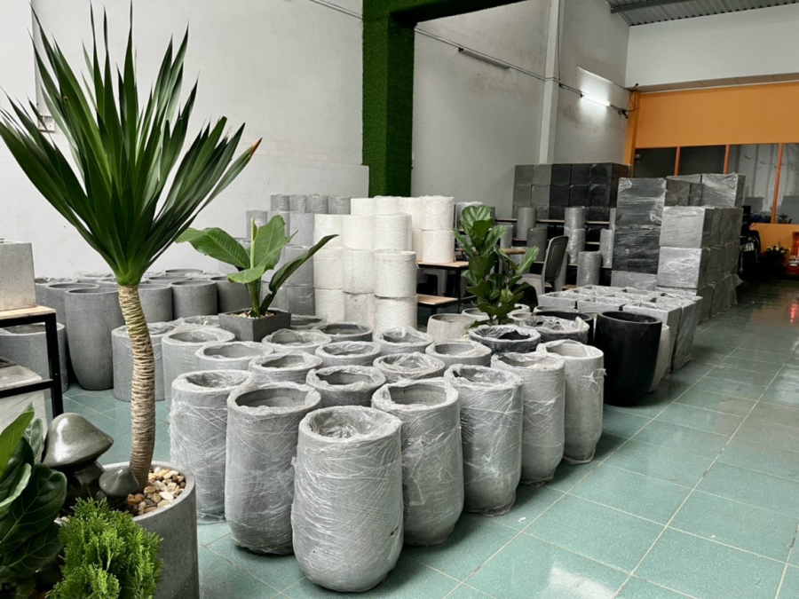 Chậu trồng cây bê tông, xi măng tại Cần Thơ
