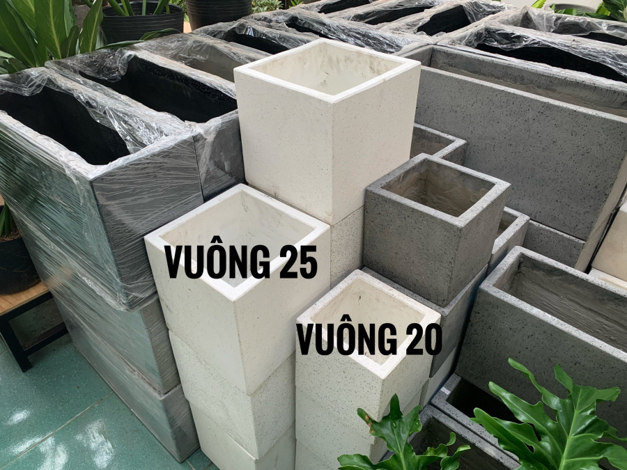 Chậu bê tông vuông