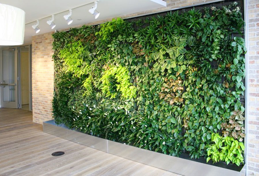 Thiết kế - Thi công cảnh quan