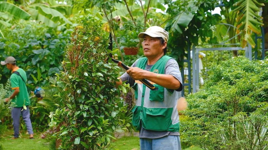 Dịch vụ Cắt Cỏ - Phát Hoang