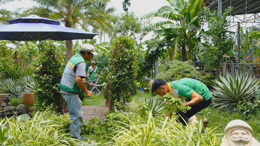 Dịch vụ Cắt Cỏ - Phát Hoang
