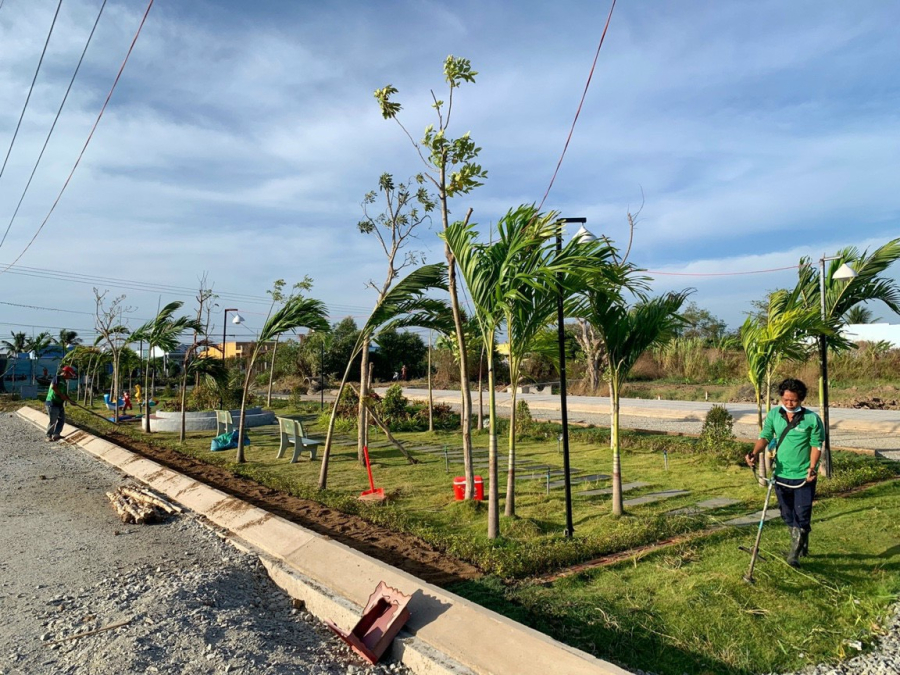 Dịch vụ Cắt Cỏ - Phát Hoang