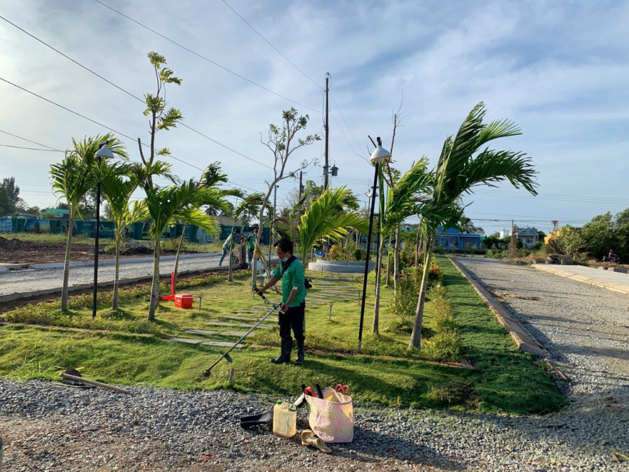 Dịch vụ Cắt Cỏ - Phát Hoang